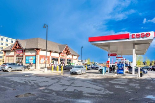 97 Cornerbrook Road Ne, Calgary, AB - Outdoor