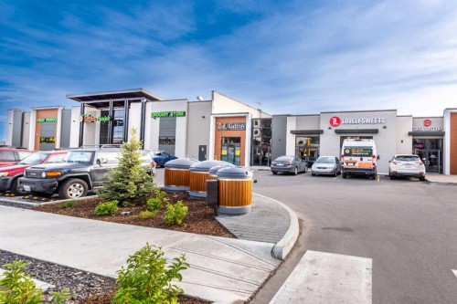 97 Cornerbrook Road Ne, Calgary, AB - Outdoor