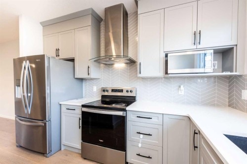 97 Cornerbrook Road Ne, Calgary, AB - Indoor Photo Showing Kitchen With Stainless Steel Kitchen With Upgraded Kitchen