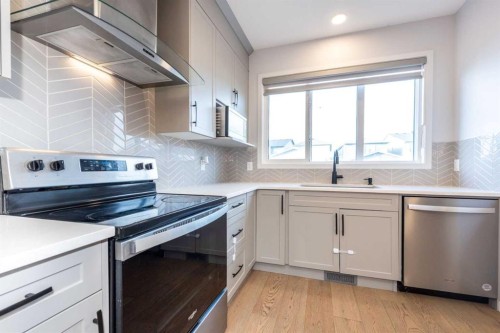 97 Cornerbrook Road Ne, Calgary, AB - Indoor Photo Showing Kitchen With Stainless Steel Kitchen With Upgraded Kitchen