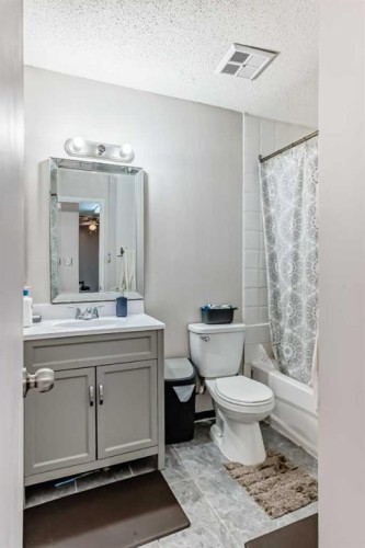 303-4328 4 Street Nw, Calgary, AB - Indoor Photo Showing Bathroom