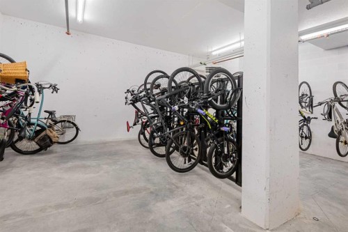 305-45 Aspenmont Heights Sw, Calgary, AB - Indoor Photo Showing Garage