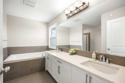 134 Howse Rise Ne, Calgary, AB - Indoor Photo Showing Bathroom