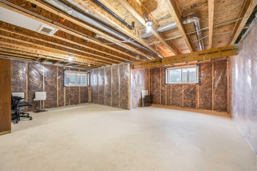 134 Howse Rise Ne, Calgary, AB - Indoor Photo Showing Basement