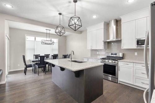 134 Howse Rise Ne, Calgary, AB - Indoor Photo Showing Kitchen With Double Sink With Upgraded Kitchen