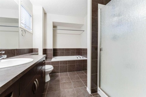 20 Bridlecrest Court Sw, Calgary, AB - Indoor Photo Showing Bathroom