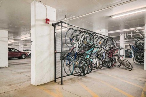 420-63 Inglewood Park Se, Calgary, AB - Indoor Photo Showing Garage