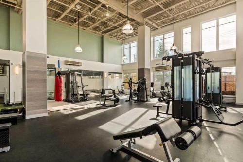 420-63 Inglewood Park Se, Calgary, AB - Indoor Photo Showing Gym Room
