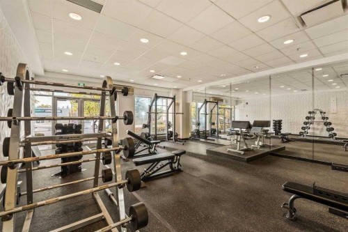 420-63 Inglewood Park Se, Calgary, AB - Indoor Photo Showing Gym Room