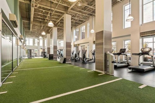 420-63 Inglewood Park Se, Calgary, AB - Indoor Photo Showing Gym Room