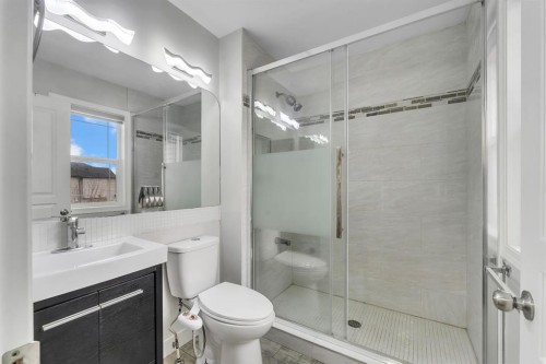 11 Saddlebrook Way Ne, Calgary, AB - Indoor Photo Showing Bathroom