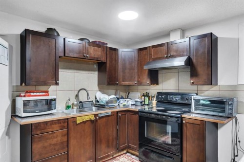11 Saddlebrook Way Ne, Calgary, AB - Indoor Photo Showing Kitchen With Double Sink