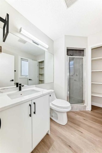 624 Shawinigan Drive Sw, Calgary, AB - Indoor Photo Showing Bathroom
