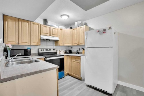 109 Taralea Green Ne, Calgary, AB - Indoor Photo Showing Kitchen With Double Sink