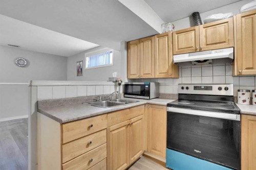 109 Taralea Green Ne, Calgary, AB - Indoor Photo Showing Kitchen With Double Sink