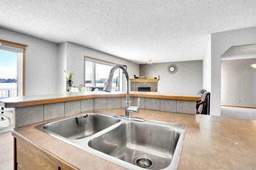 109 Taralea Green Ne, Calgary, AB - Indoor Photo Showing Kitchen With Double Sink