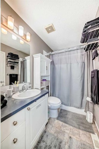 12 Taravista Crescent Ne, Calgary, AB - Indoor Photo Showing Bathroom