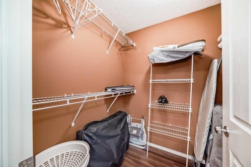 12 Taravista Crescent Ne, Calgary, AB - Indoor With Storage