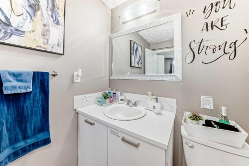 12 Taravista Crescent Ne, Calgary, AB - Indoor Photo Showing Bathroom