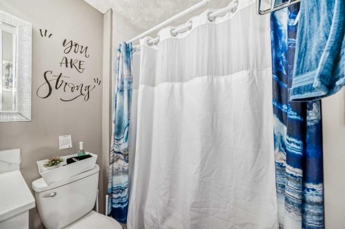 12 Taravista Crescent Ne, Calgary, AB - Indoor Photo Showing Bathroom