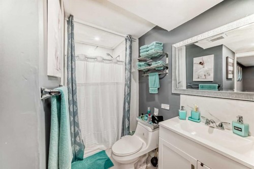 12 Taravista Crescent Ne, Calgary, AB - Indoor Photo Showing Bathroom