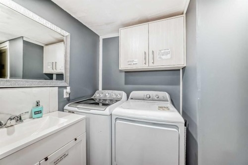 12 Taravista Crescent Ne, Calgary, AB - Indoor Photo Showing Laundry Room