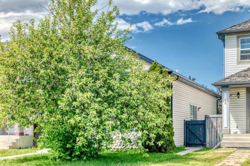 12 Taravista Crescent Ne, Calgary, AB - Outdoor