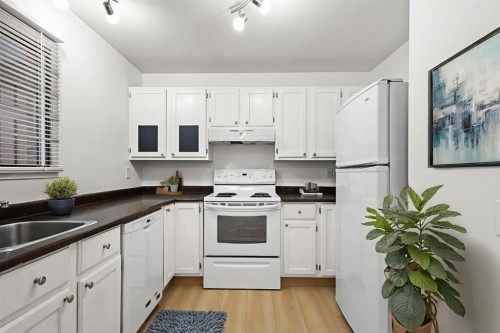 1601 15 Street Sw, Calgary, AB - Indoor Photo Showing Kitchen
