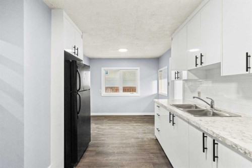 8531 47 Avenue Nw, Calgary, AB - Indoor Photo Showing Kitchen With Double Sink