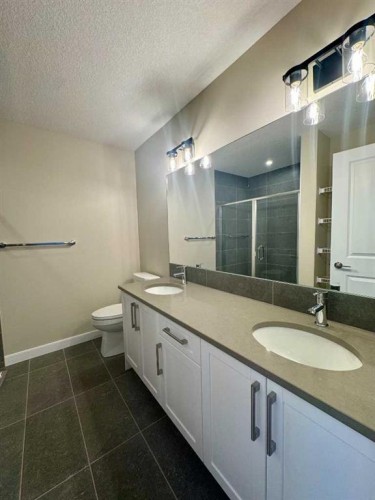 261 Waterford Way, Chestermere, AB - Indoor Photo Showing Bathroom