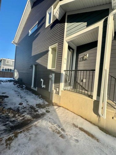 261 Waterford Way, Chestermere, AB - Outdoor