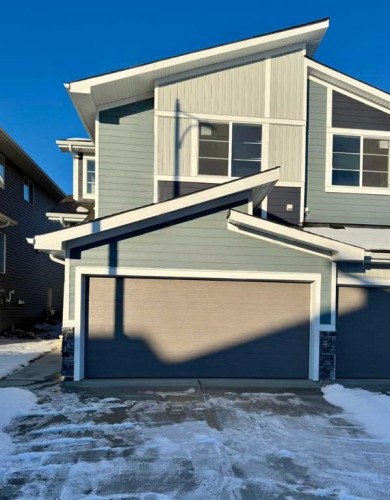 261 Waterford Way, Chestermere, AB - Outdoor