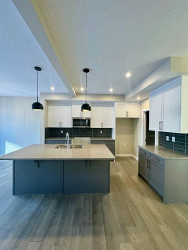 261 Waterford Way, Chestermere, AB - Indoor Photo Showing Kitchen With Double Sink With Upgraded Kitchen