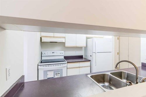 314-21 Dover Point Se, Calgary, AB - Indoor Photo Showing Kitchen With Double Sink