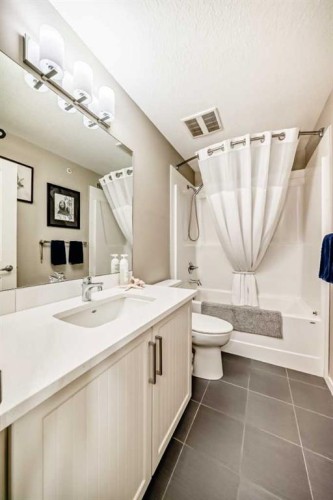 413-20 Mahogany Mews Se, Calgary, AB - Indoor Photo Showing Bathroom