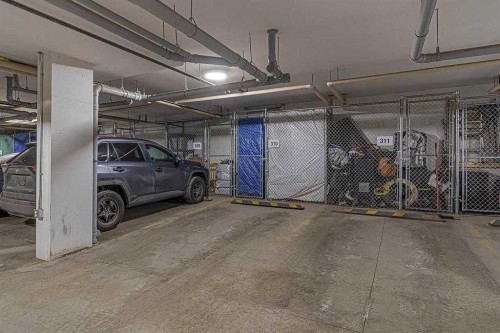 413-20 Mahogany Mews Se, Calgary, AB - Indoor Photo Showing Garage