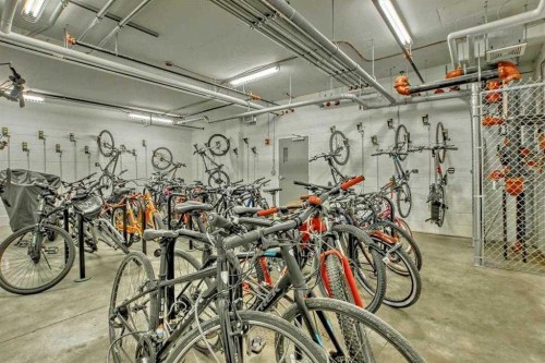 413-20 Mahogany Mews Se, Calgary, AB - Indoor