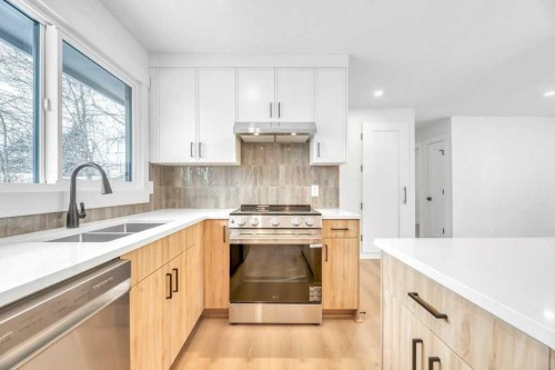 32 Allandale Close Se, Calgary, AB - Indoor Photo Showing Kitchen With Double Sink With Upgraded Kitchen
