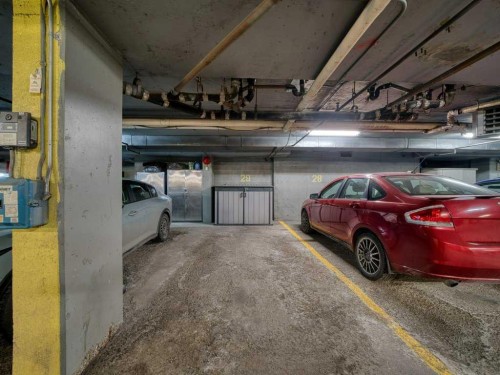 301-1528 11 Avenue Sw, Calgary, AB - Indoor Photo Showing Garage