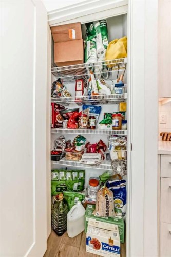 106 Dawson Harbour Grove, Chestermere, AB - Indoor