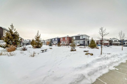 106 Dawson Harbour Grove, Chestermere, AB - Outdoor