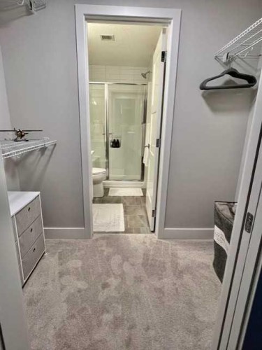 110-8355 19 Avenue Sw, Calgary, AB - Indoor Photo Showing Bathroom