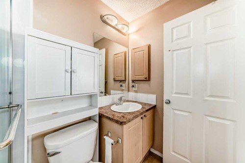 79 Saddlebrook Common Ne, Calgary, AB - Indoor Photo Showing Bathroom