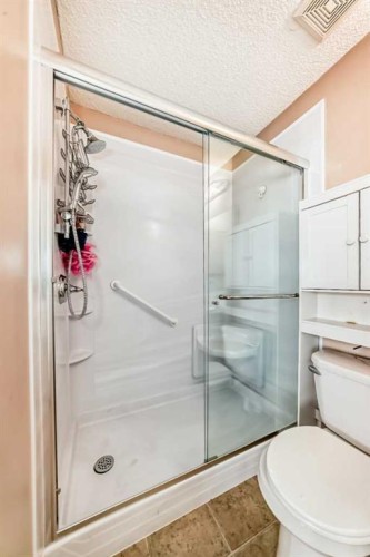 79 Saddlebrook Common Ne, Calgary, AB - Indoor Photo Showing Bathroom