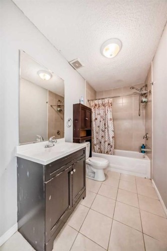 79 Saddlebrook Common Ne, Calgary, AB - Indoor Photo Showing Bathroom