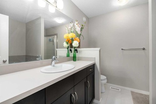 802 Walden Drive Se, Calgary, AB - Indoor Photo Showing Bathroom