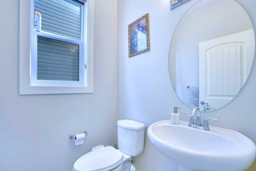 21 Saddlelake Gardens Ne, Calgary, AB - Indoor Photo Showing Bathroom