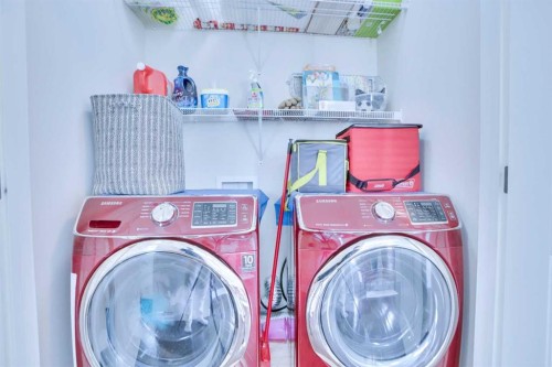 21 Saddlelake Gardens Ne, Calgary, AB - Indoor Photo Showing Laundry Room