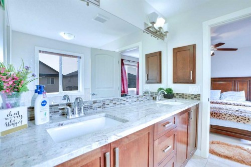 21 Saddlelake Gardens Ne, Calgary, AB - Indoor Photo Showing Bathroom