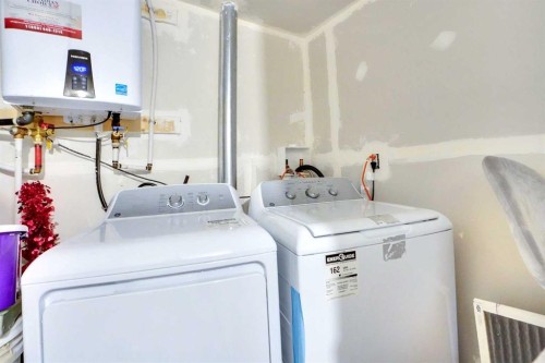 21 Saddlelake Gardens Ne, Calgary, AB - Indoor Photo Showing Laundry Room